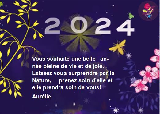 Belle Année 2024 by Séraphine